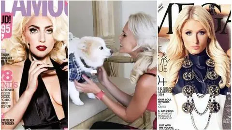 Pies Iwony jest gwiazdą! Ma zdjęcie z Lady Gagą i Paris Hilton! Tego nie było w TV!