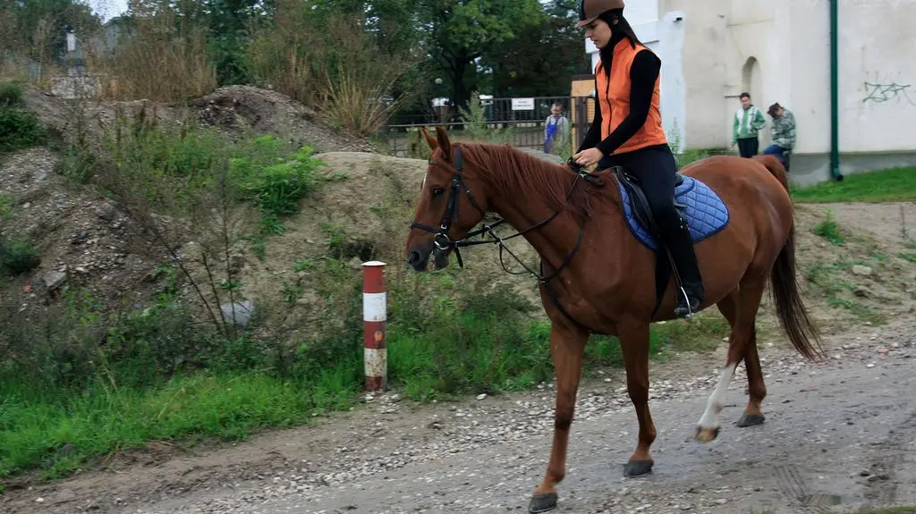 1055 odcinek