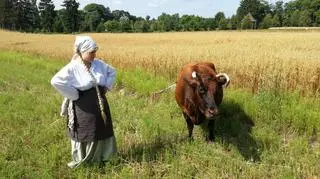 2. odcinek "Wiem, co jem"