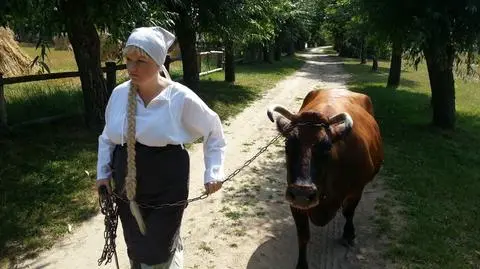 2. odcinek "Wiem, co jem"