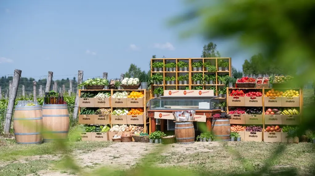 6. odcinek 10. sezonu