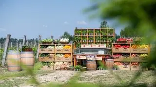 6. odcinek 10. sezonu