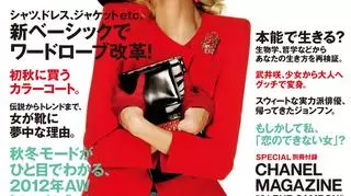 Anja Rubik | Vogue Japan | SIERPIEŃ 2011