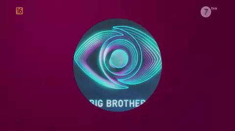 Big Brother Extra!