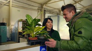 Biznesy pełne pasji: sprzedaż egzotycznych roślin to biznesowa codzienność Kasi