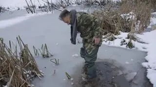 Dżentelmeni i Wieśniacy, Maciek