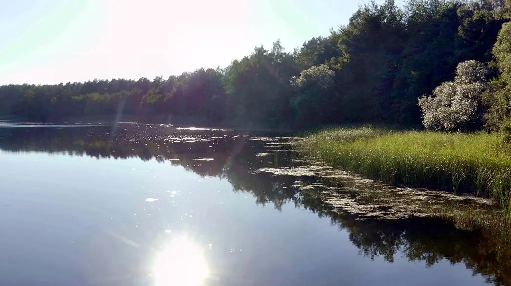 Dziwnów: Martwa Dziwna
