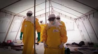 Ebola – zabójczy wirus