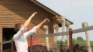 Drugi odcinek "Pascala po polsku"