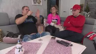 Gogglebox: Ile jest pól na ścianie kostki rubika? 