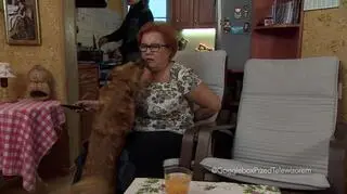 "Gogglebox": Piesek potrzebuje miłości!