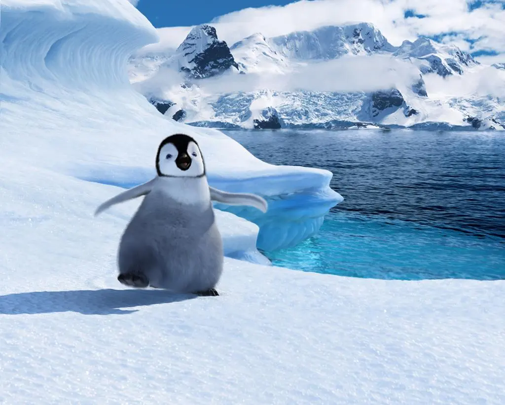 Happy feet: Tupot małych stóp