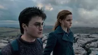 Harry Potter i Insygnia Śmierci Część I