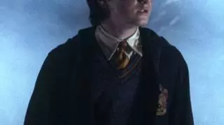 "Harry Potter i komnata tajemnic"