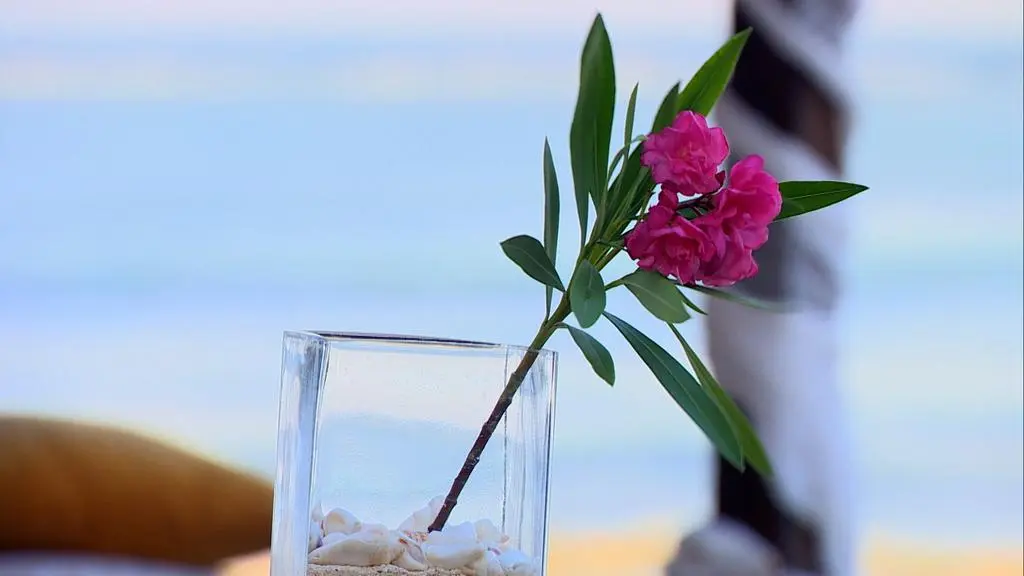 Hotel Paradise 3