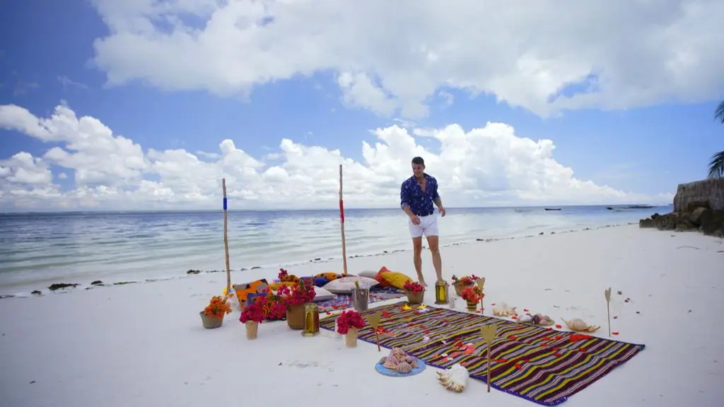 Hotel Paradise 4: Janek