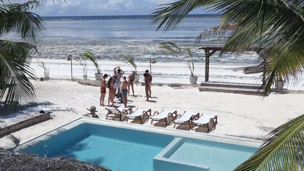 Hotel Paradise 4: Uczestnicy