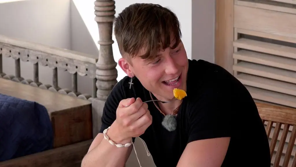 Hotel Paradise 5: Jay