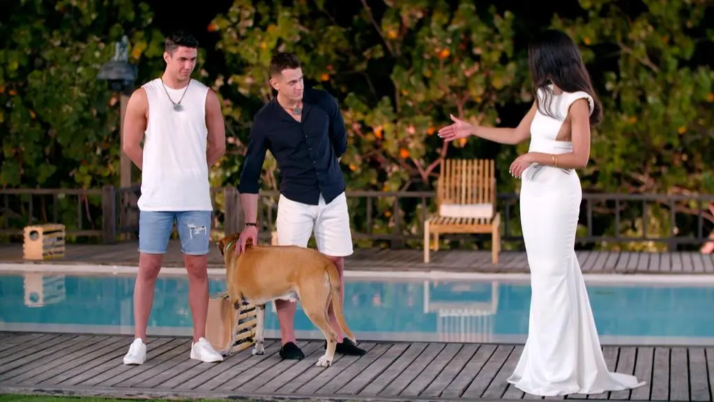 Hotel Paradise 5: Kasper i Kamil