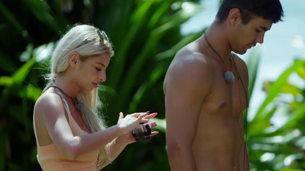Hotel Paradise 5: Malowanie