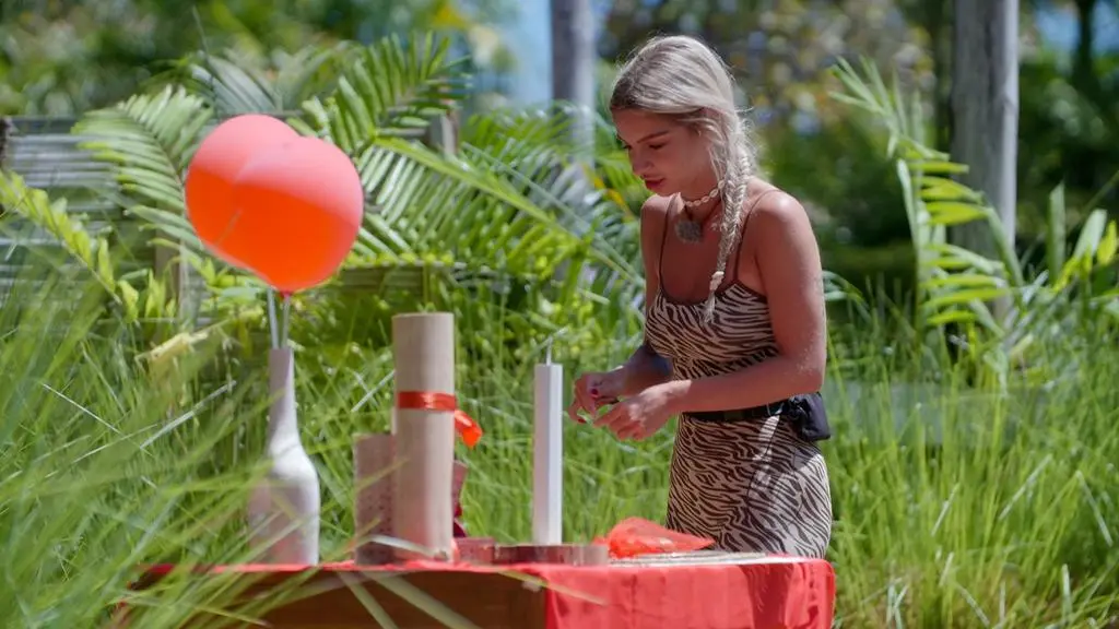 Hotel Paradise 5: Zadanie