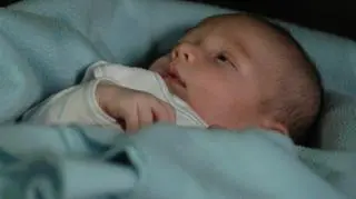 Synek Kingi i Michała poznaje świat