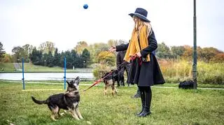 Iza Miko zachęca do adopcji psów