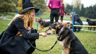 Iza Miko zachęca do adopcji psów