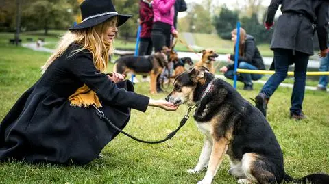 Iza Miko zachęca do adopcji psów