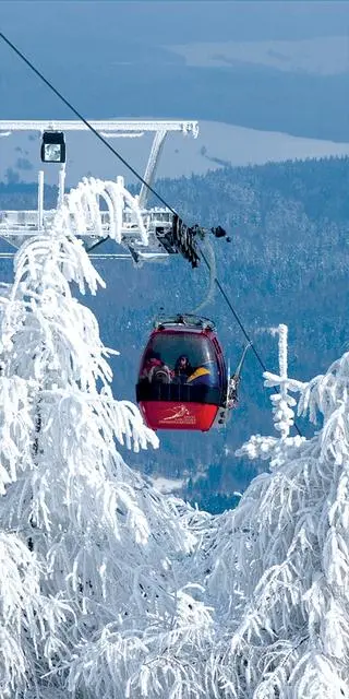 Jaworzyna Krynicka