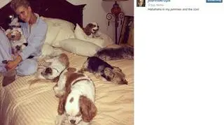 Joanna Krupa i jej ZOO