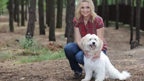 Psie adopcje i nie tylko