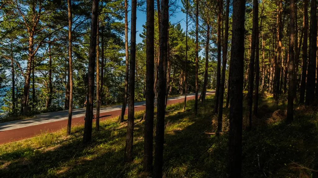 Krynica Morska