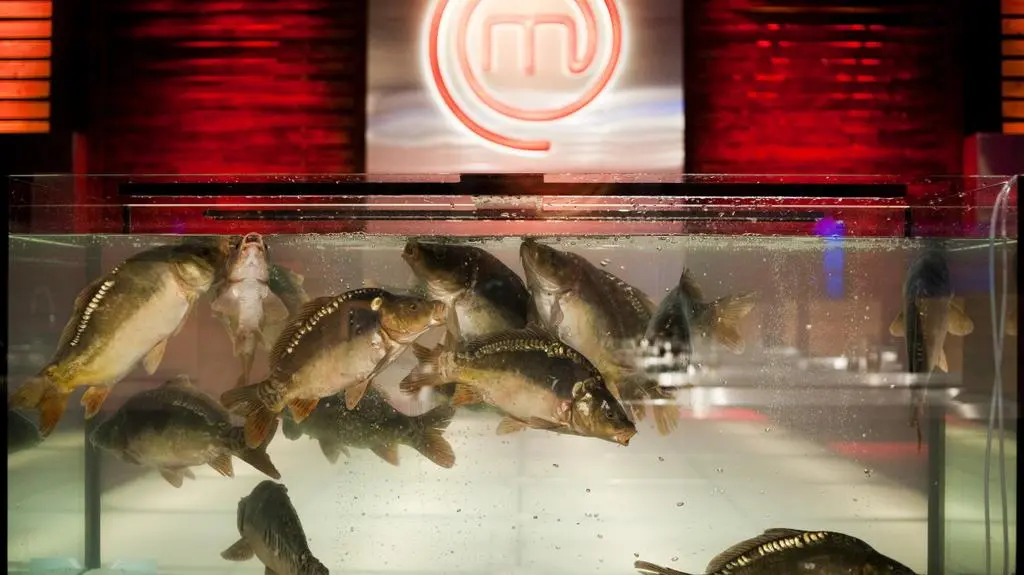 "MasterChef" odcinek 4
