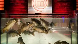 "Uczestnicy vs. Karp'