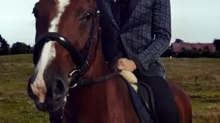 Elegancka sesja z końmi