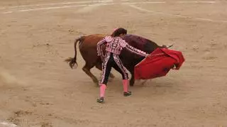 Meksyk - Pogromczyni byków