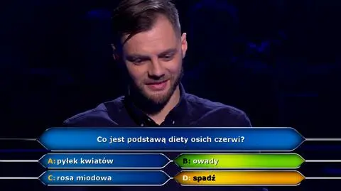 Michał w Milionerach