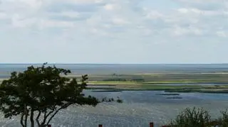 Międzyzdroje: WSTECZNA DELTA ŚWINY