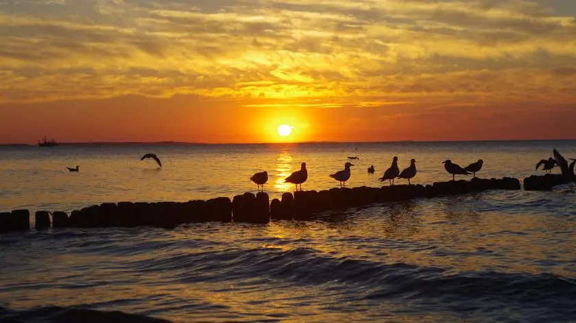 Międzyzdroje: Zachód Słońca