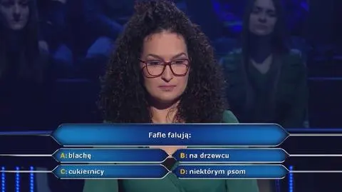 Milionerzy PRZED EMISJĄ W TV: Gdzie falują fafle?