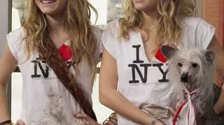 "Nowy Jork, nowa miłość"
