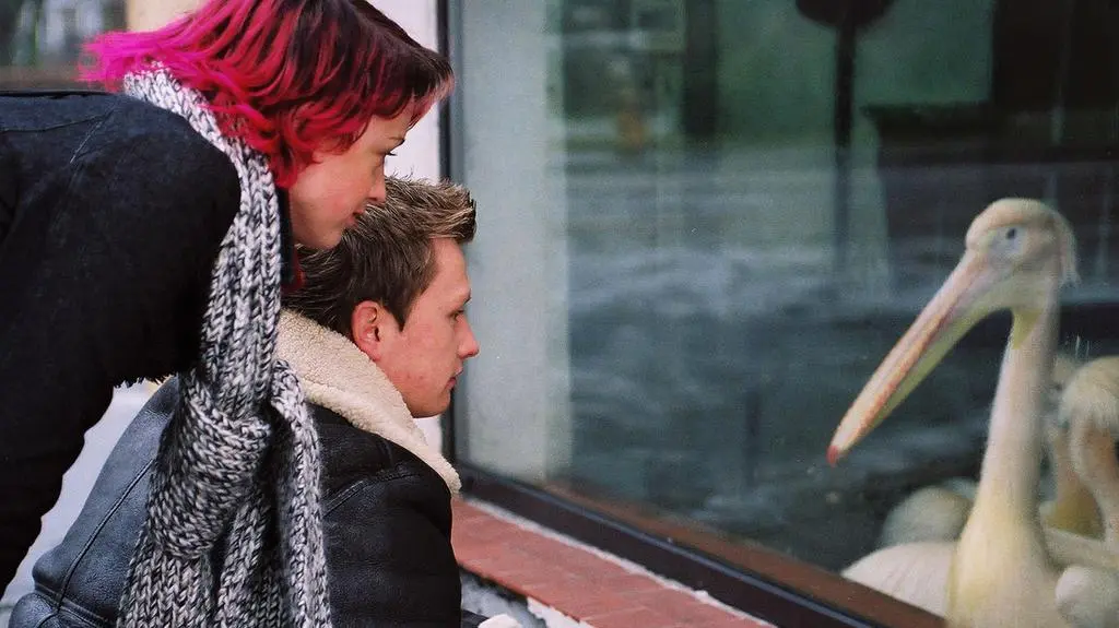 Odc. 22 - Karolina i Igor