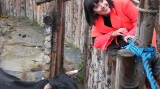 Ola i hiszpański byk