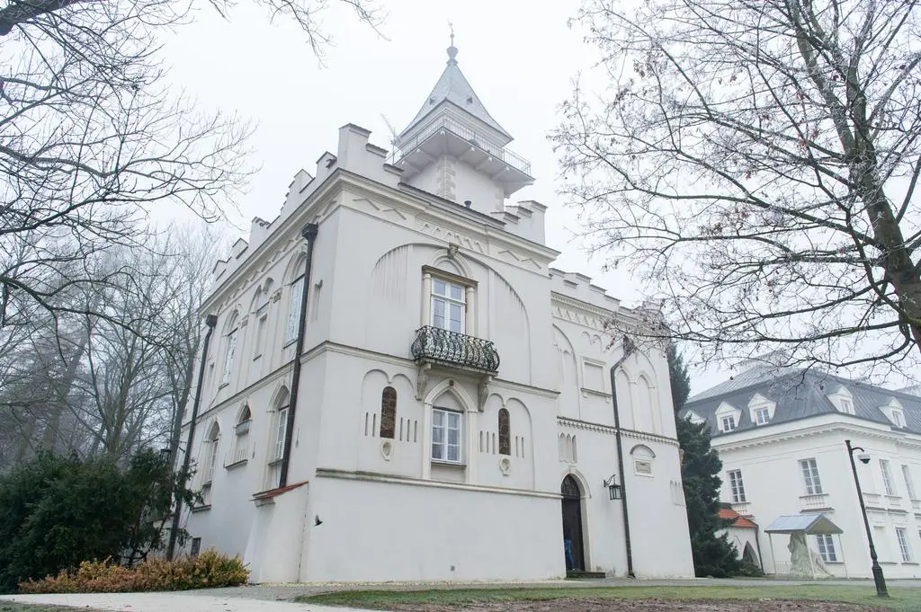 Pałac w Radziejowicach