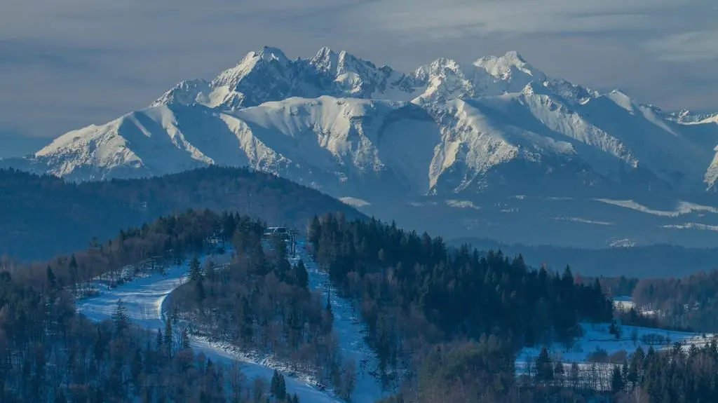 Palenica – Szczawnica 
