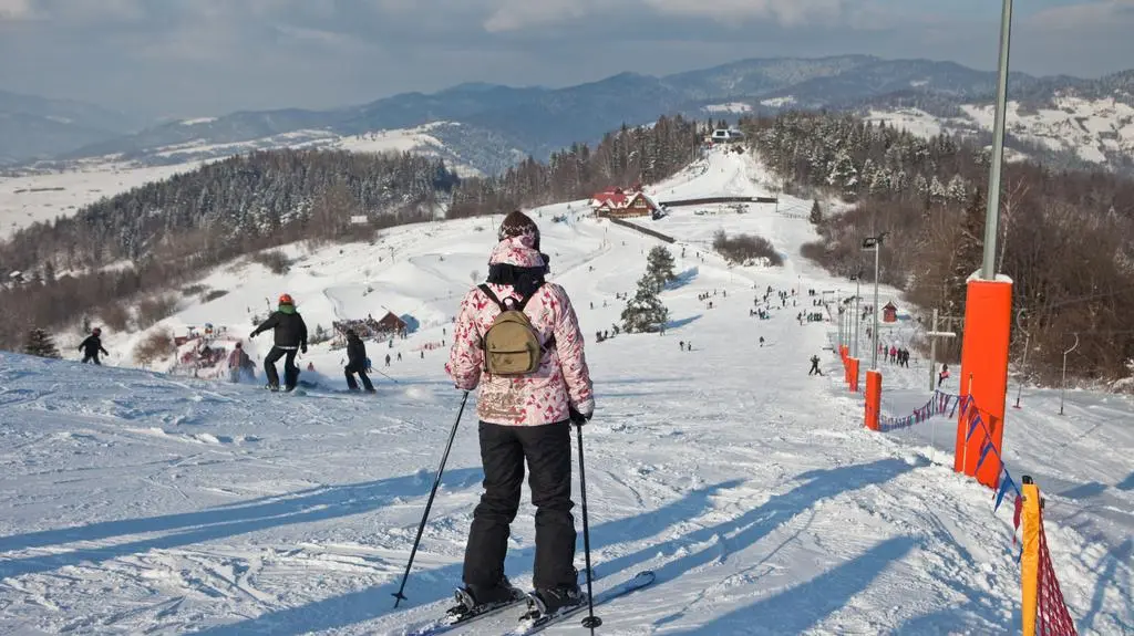 Palenica – Szczawnica 