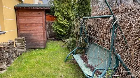 Polowanie na ogród: Irek mocno zaniedbał swój ogród