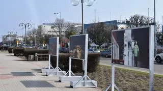 Port - wystawa w Gdyni