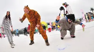 Projekt Zima w Bukowinie! FOTO (archiwum 2014)